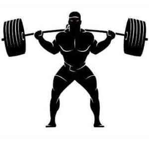 BFS Squat Logo_web BFS Squat Logo_web